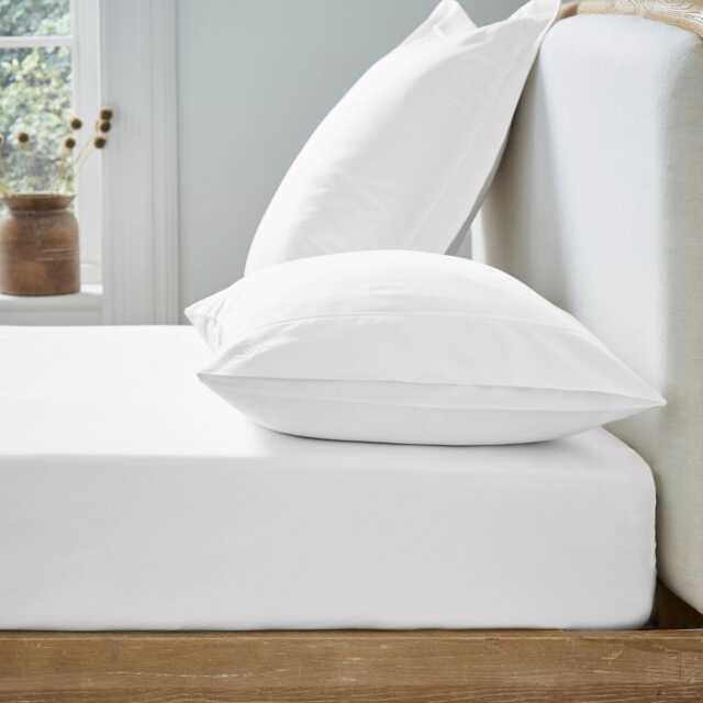 Ted Baker 250 Thread Count Plain Dye Single Fitted Sheet, White