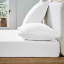 Ted Baker 250 Thread Count Plain Dye Single Fitted Sheet, White