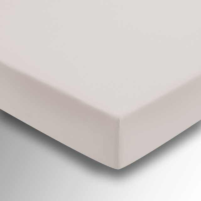 1951 Plain Dye Percale Single Fitted Sheet, Putty