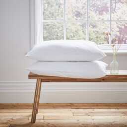 Murmur Luxurious Sleep Standard Pillow Pair - thumbnail 1