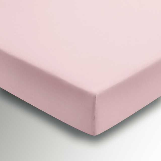 Helena Springfield Percale Single Fitted Sheet, Blush