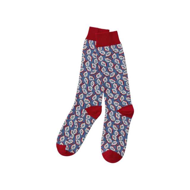 Land & Shore Seedling Socks, Blue/Red - image 1