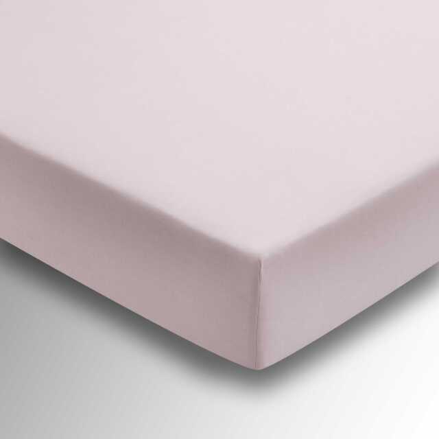 1951 Plain Dye Percale Double Fitted Sheet, Tuberose