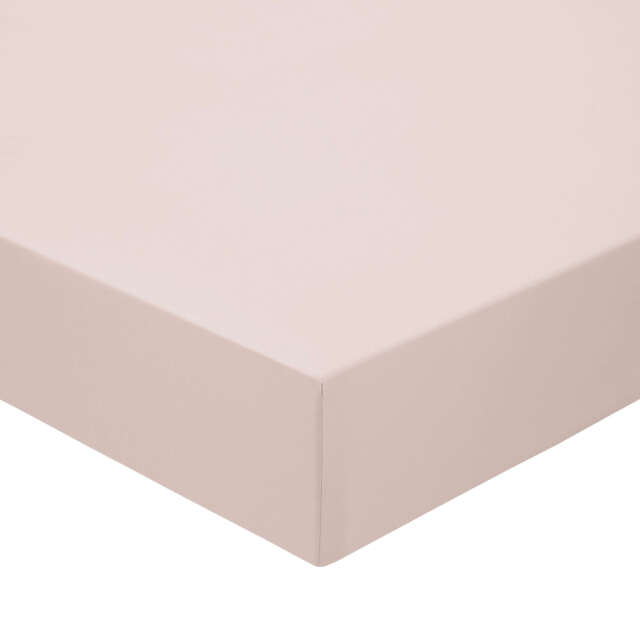 Murmur 500 Thread Count Single Fitted Sheet, Rose