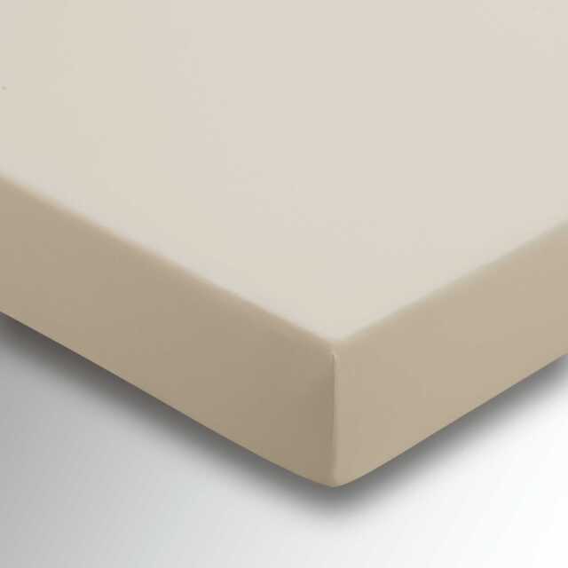 Helena Springfield Percale Single Fitted Sheet, Stone