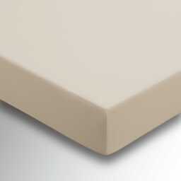Helena Springfield Percale Single Fitted Sheet, Stone