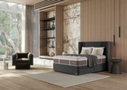 Sealy Exquisite Platinum Renaissance Divan Bed Set on Castors - thumbnail 1