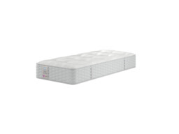 Sealy Toledo Backcare Firm Support Mattress - thumbnail 2