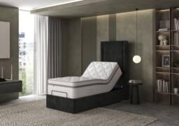 Tech Latex Motion Plushtop Adjustable Divan Set