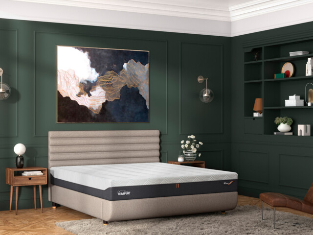 Tempur Arc™ Vectra Upholstered Bed Frame - image 1