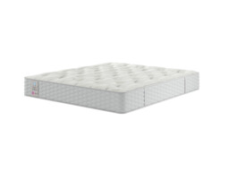 Sealy Edendale Backcare Support Firm Mattress - thumbnail 2