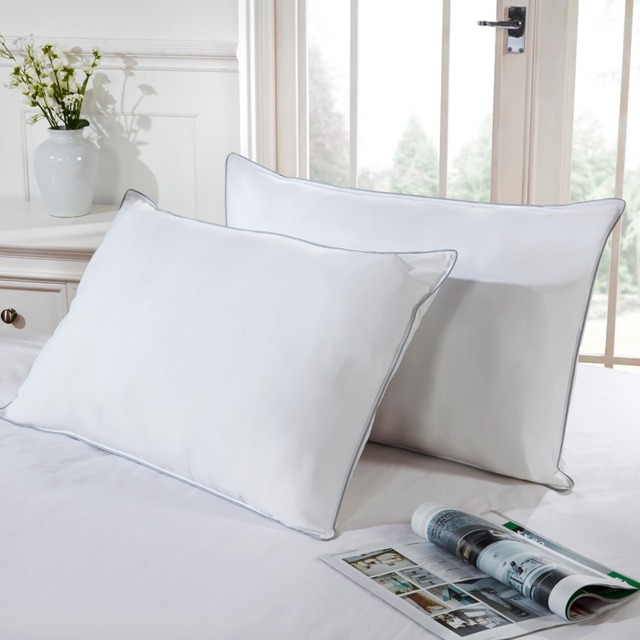 Home Collection 5 Star Feels Like Down Pillows - image 1