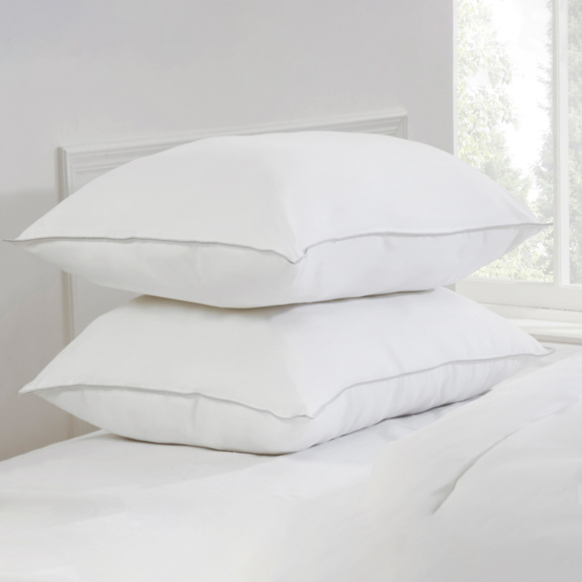 Dreamy Nights All Natural Duck Feather Pillow Pair, White - image 1