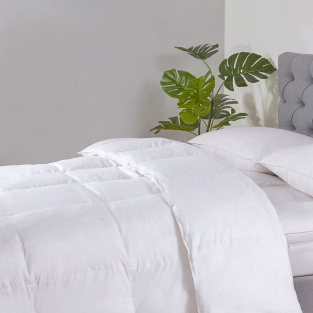 13.5 Tog Goose Feather & Down Duvet, King - image 1