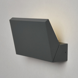 Juno Outdoor LED Up or Down Adjustable Wall Light, Anthracite - thumbnail 4
