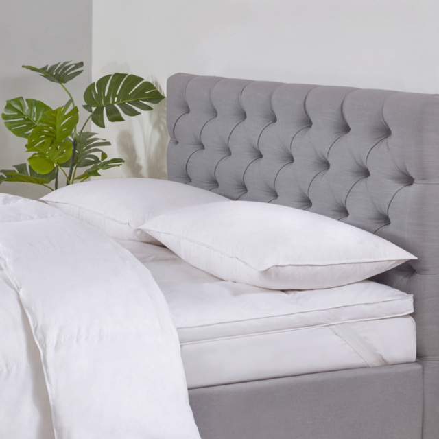 Dreamy Nights All Natural Goose Feather Pillow Pair, White - image 1