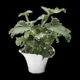 Georg Jensen Bloom Botanica Large Flower Pot - Mirror Polished Stainless Steel - 222mm Size: Large - thumbnail 3