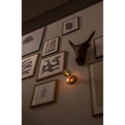 Humble Bee Cordless Wall Light - Gold - Smoked Bulb - thumbnail 6