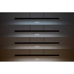 Umage Hazel Branch Pendant Lamp - 150cm - Black / Brushed Brass Colour: Black / Brushed Brass, Size: Width 150cm - thumbnail 3