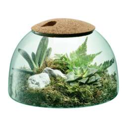 LSA International Canopy Closed Garden Planter - 16.5cm - thumbnail 2