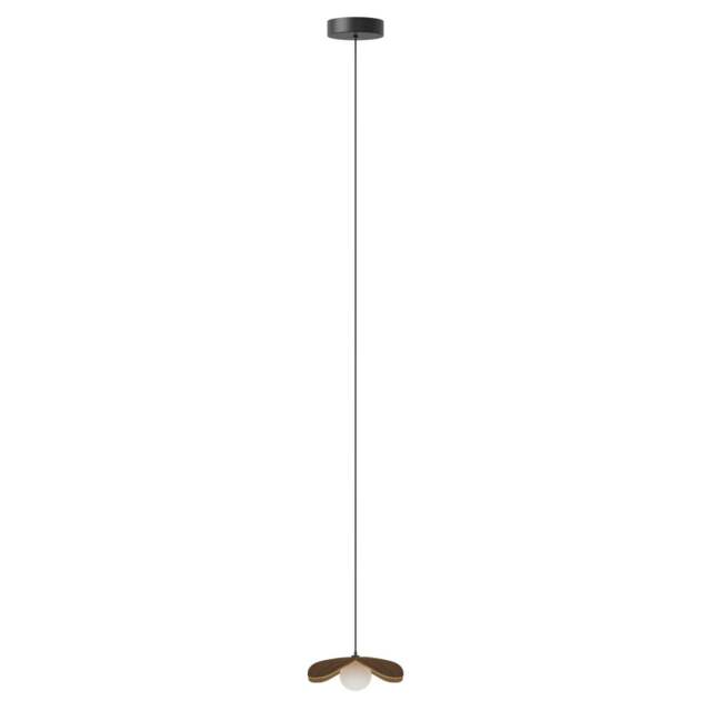 Umage Forget Me Not Pendant Shade with Rosette Mini Canopy - Mini - Dark Oak Colour: Dark Oak - image 1