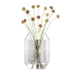 LSA International Rotunda Lantern/Vase - H26cm - Clear