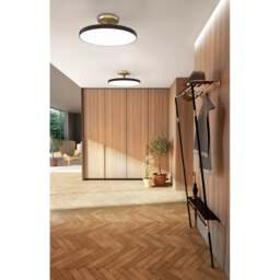 Umage Asteria Up Ceiling Light - 60cm Colour: Anthracite, Size: Large - thumbnail 4