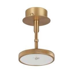 Umage Asteria Spot Ceiling/Wall Lamp Colour: Plated Brass - thumbnail 3