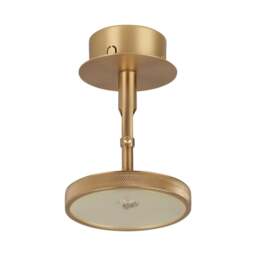 Umage Asteria Spot Ceiling/Wall Lamp Colour: Plated Brass - thumbnail 2