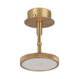 Umage Asteria Spot Ceiling/Wall Lamp Colour: Plated Brass - thumbnail 1