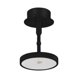 Umage Asteria Spot Ceiling/Wall Lamp Colour: Black - thumbnail 3