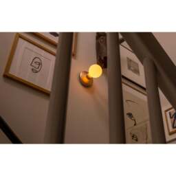 Humble Bee Cordless Wall Light - Gold - Frosted Bulb - thumbnail 6