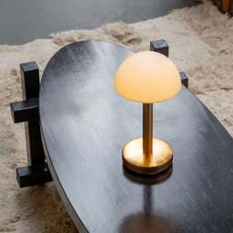 Humble Bug Table Light - Gold - Frosted Shade - thumbnail 5