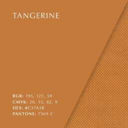 Umage Curious Dining Chair - Oak - Brass Legs - Tangerine Cushion Leg Colour: Brass Legs, Colour: Tangerine - thumbnail 6