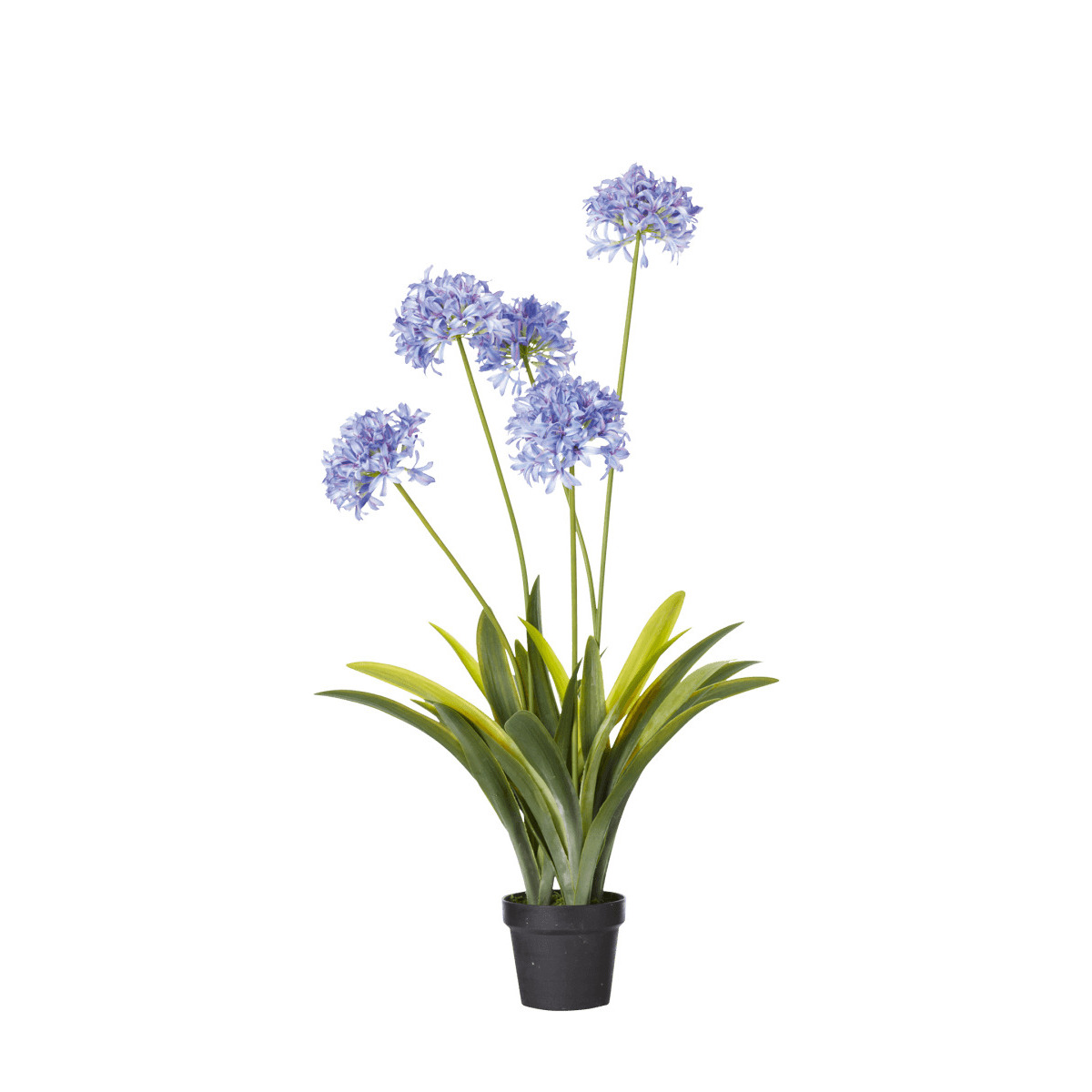 OKA, Faux Agapanthus Plant - Purple, Artificial Plants, Bamboo