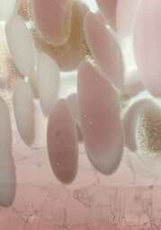 Our Pretty in Pink Hand-Blown Vase - thumbnail 4