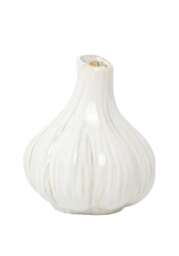 Spice Up Your Space Garlic Bud Vase - thumbnail 4