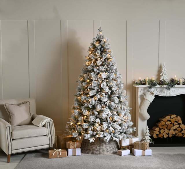 5ft Bishop's Pine Christmas Tree Artificial - White Frosted Green with LED Lights Warm White 441 Tips