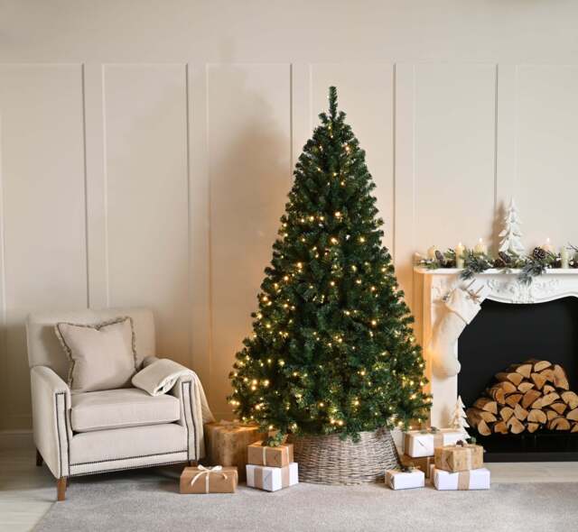 8ft Wentworth Fir Christmas Tree Artificial - with LED Lights Warm White 1500 Tips
