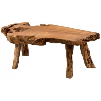 Ancient Mariner Tree Root Coffee Table - image 1