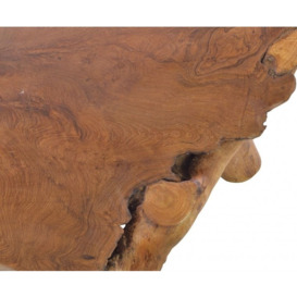 Ancient Mariner Tree Root Coffee Table - thumbnail 3
