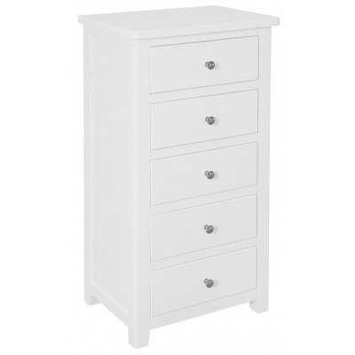 Henley Painted 5 Drawer Narrow Chest - image 1