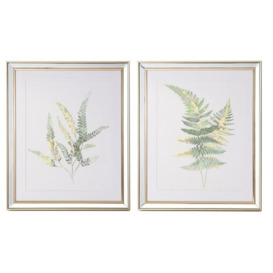 Mindy Brownes Ferns Gold Floral prints Photo Frame (Set of 2)