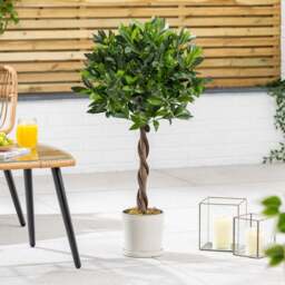 Artificial Bay Trees – Pair – 3ft & 4ft - Christow - thumbnail 6