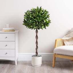 Artificial Bay Trees – Pair – 3ft & 4ft - Christow - thumbnail 4