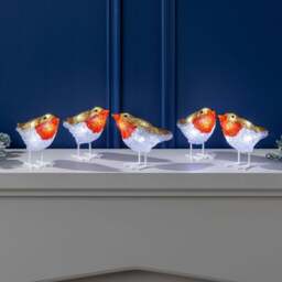 Acrylic Robin Lights – Set of 5 - Christow - thumbnail 3
