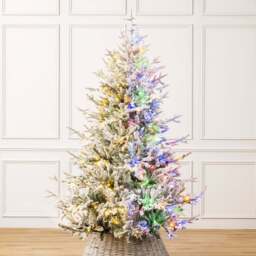 Pre-Lit Flocked Verbier Fir Christmas Tree - Christow - thumbnail 1