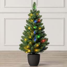 Pre-Lit Avila Spruce Christmas Tree - Christow