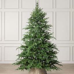Nordmann Fir Artificial Christmas Tree - Christow - thumbnail 3