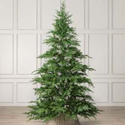Nordmann Fir Artificial Christmas Tree - Christow - thumbnail 5